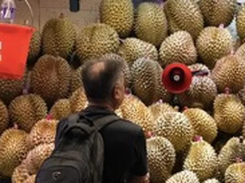 Giá sầu riêng Việt 'sập sàn' do giá tại Trung Quốc giảm mạnh?
