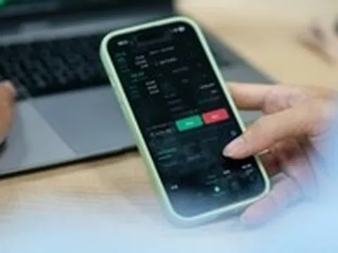‘Nữ hoàng cá tra’ Vĩnh Hoàn tạm lỗ gần 40% khi đầu tư cổ phiếu NLG, DXS