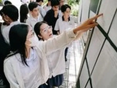 Thương đàn gà chọi