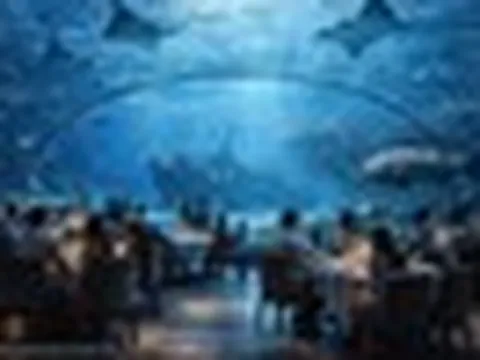Việt Nam sắp có công viên thủy cung lớn nhất thế giới: Rộng hơn sân Mỹ Đình, nằm ở đâu?