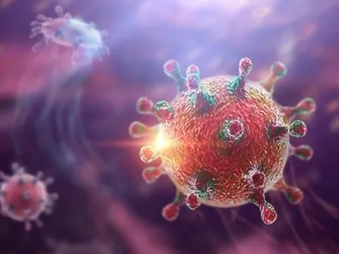 Việt Nam chưa ghi nhận ca mắc bệnh do virus Hanta, Bộ Y tế đưa ra 5 khuyến cáo