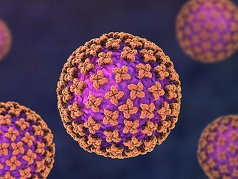 3 người vừa tử vong vì hantavirus: Loại virus "tấn công phổi" nguy hiểm ra sao?