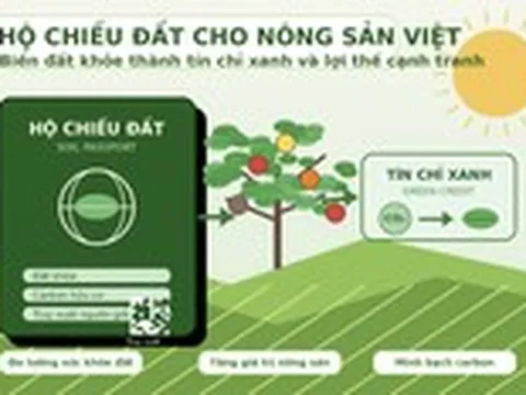 'Năm nay đất có khỏe không'?