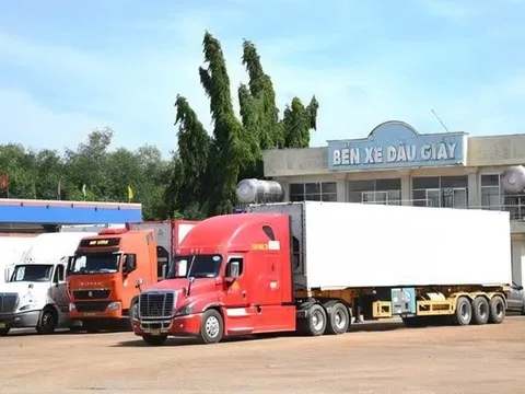 Hàng ngàn container sầu riêng đổ về Dầu Giây: Tài xế vật vờ chờ kiểm định, người dân than trời vì ùn tắc