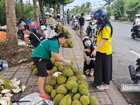 Sầu riêng tại vườn rớt giá, vì sao người tiêu dùng vẫn mua đắt?