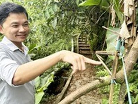 Người Xê Đăng bày ma trận bẫy bắt 'ông Tý' trộm sâm Ngọc Linh