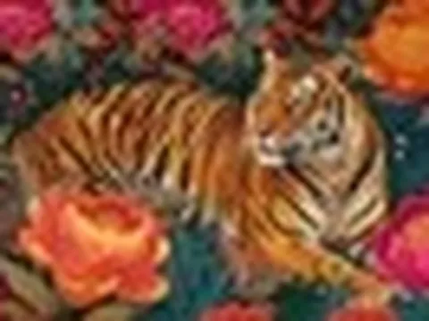 Tử vi ngày mới 8/5: 3 con giáp may mắn có cát tinh trợ lực, quý nhân đưa đường, tiền bạc rủng rỉnh