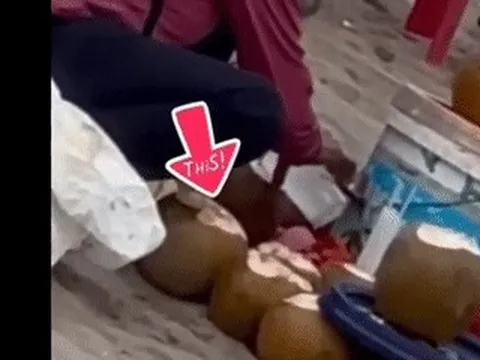 Xác minh clip người phụ nữ gom nước dừa khách uống thừa để bán lại ở bãi biển Thịnh Long