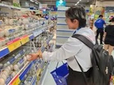 Giá gà và trứng giảm sâu, người nuôi thua lỗ