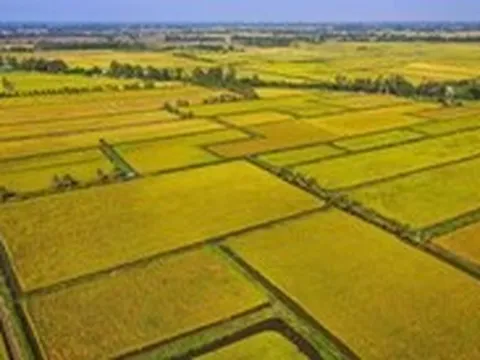 Nông nghiệp Việt Nam trước ngã rẽ mới