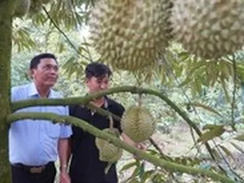 Năm 2026 Đồng Tháp sẽ thí điểm áp dụng hệ thống truy xuất nguồn gốc nông sản