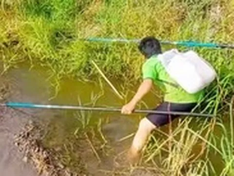 Dí xuyệt điện xuống kênh là cắt luôn đường sống của mình