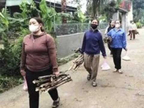 Xúc động chuyện chị em vùng quê góp gạo, góp củi lo hậu sự cho người nghèo