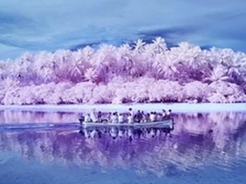 Hòn đảo nơi người dân hầu hết đều bị mù màu: Mọi chuyện bắt đầu vào năm 1775