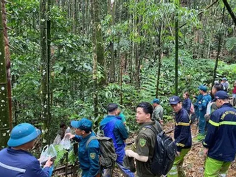 Gần 300 người băng rừng, lội suối tìm kiếm người đàn ông mất tích