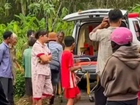 Cưa cây dưới trời mưa, một người bị sét đánh tử vong
