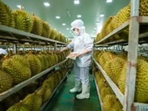 Danh sách mới nhất các phòng kiểm nghiệm Cadimi trong sầu riêng được Trung Quốc công nhận