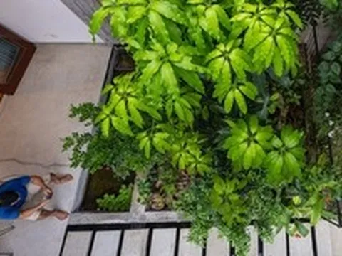 Ông bà dạy: Trong nhà có 5 điều này xuất hiện, khôn ngoan thì giữ cho kỹ, càng ở càng tích nhiều may mắn