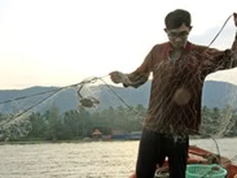 Mỹ tiếp tục nhập khẩu ghẹ của Việt Nam