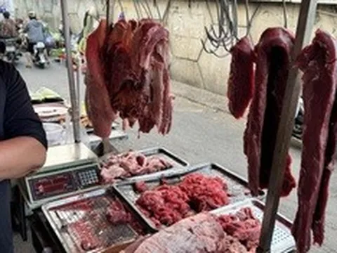 Dùng chất cấm biến thịt heo thành thịt bò, 2 đối tượng bị khởi tố