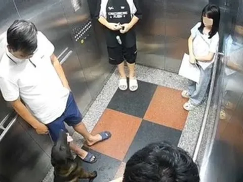 Vụ đánh người vì bị nhắc đeo rọ mõm cho chó ở Hà Nội: Người dân chung cư nói gì?