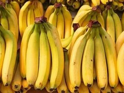 Lời khuyên khi mua chuối