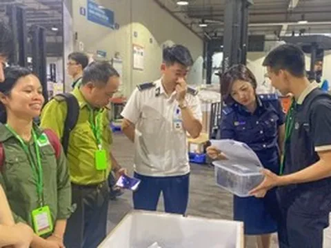 Tiếp nhận 28 cá thể rùa quý hiếm hồi hương từ Hàn Quốc