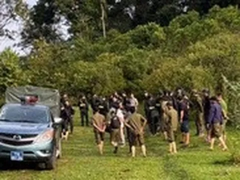 Tìm thấy nghi phạm giết vợ cũ, đã chết trong tư thế treo cổ trong rừng