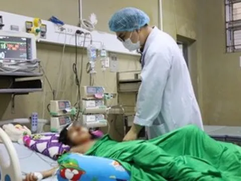 Một học sinh lớp 4 được gia đình đưa đến bệnh viện trong tình trạng nguy kịch sau khi bị ong đốt