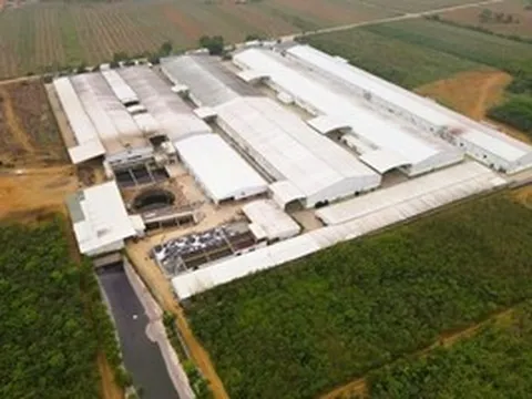 Vụ nước giếng khoan đổi màu tím: Một công ty bị phạt 1,5 tỉ đồng