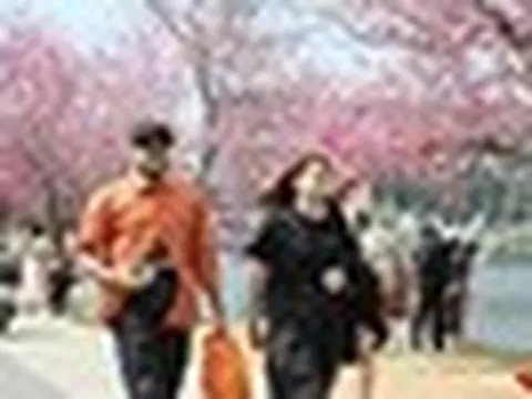 Không phải Sa Pa, đây mới là đại diện duy nhất của Việt Nam lọt top 7 điểm đến "lãng mạn như châu Âu"