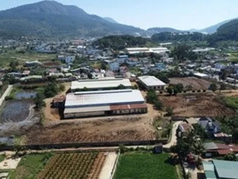 Tập kết phân bón gây ô nhiễm