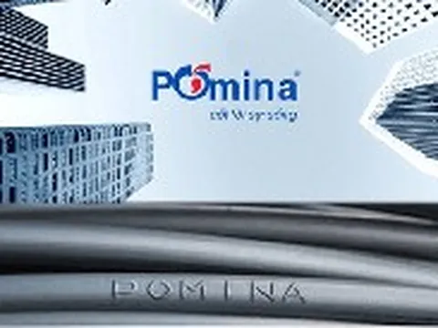 Báo cáo tài chính hé lộ 'mối quan hệ' giữa Vingroup và Pomina