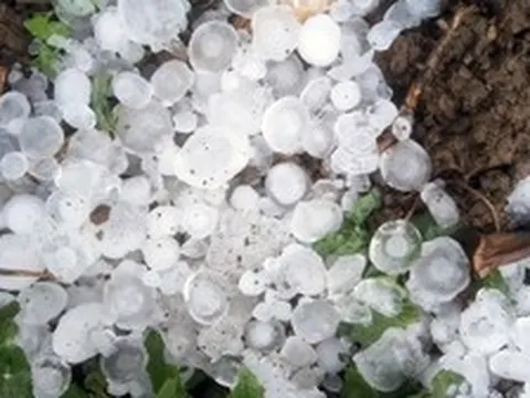 Chiều nay vùng núi Bắc Bộ mưa dông, nguy cơ lốc sét và mưa đá