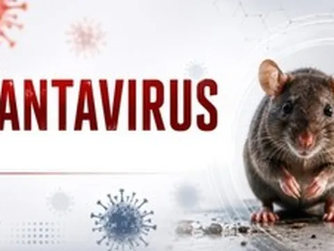 Bộ Y tế thông tin về xét nghiệm virus Hanta