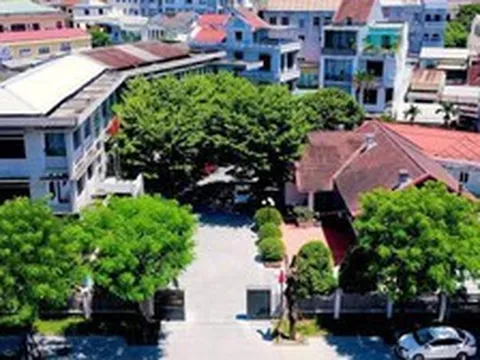 Lý do Giám đốc Sở Nông nghiệp và Môi trường TP Huế bị đề nghị kỷ luật