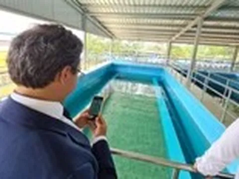 TP.HCM thành lập 5 công ty cấp nước công suất 800.000 m3/ngày đêm