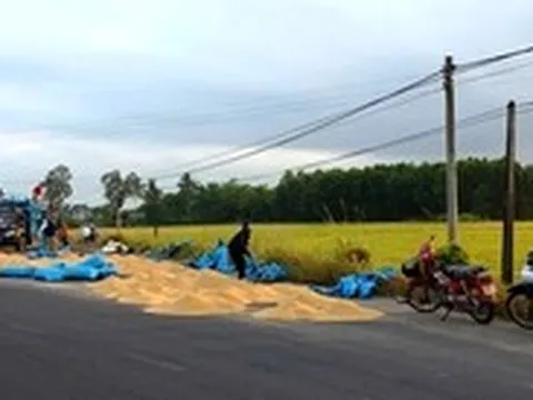Đừng để 'cái sảy nảy cái ung'