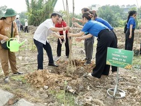 Xã Bình Hưng, TPHCM: Trồng hơn 1.800 cây xanh hưởng ứng "Đời đời nhớ ơn Bác Hồ"
