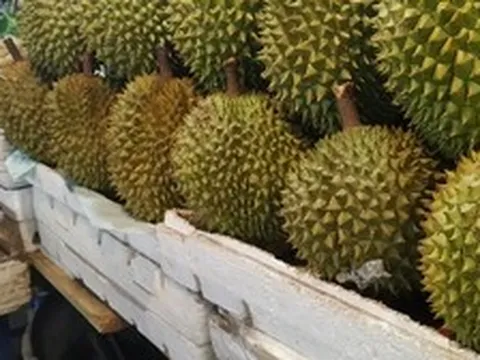 Lời khuyên khi mua sầu riêng