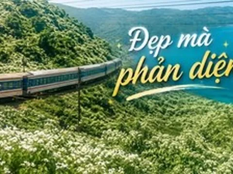 "Thiên đường hạ giới" đang phủ trắng muốt đèo Hải Vân khiến bao người đắm say: Đẹp đến đâu, đáng lo đến đó!