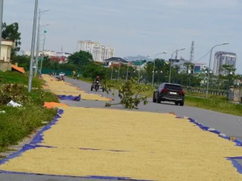 Cảnh tượng gây 'nhức mắt' trên đường, tài xế ô tô thấp thỏm lo va chạm