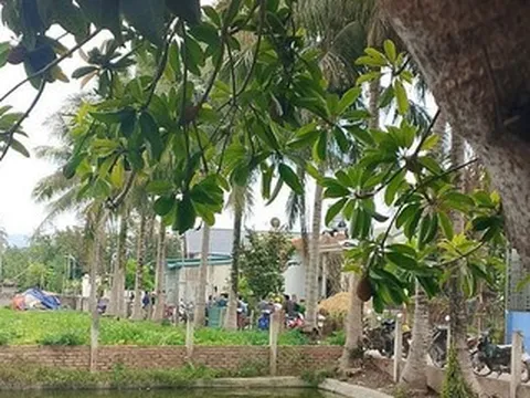 Nghi án bố đẻ đâm con trai tử vong trong lúc giằng co