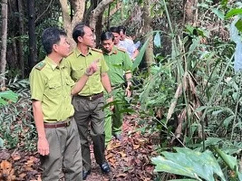 CLIP: Vụ chủ vườn chim "kêu cứu" ở Vĩnh Long: Lực lượng chức năng đến khảo sát