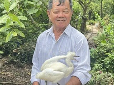 Vụ chủ vườn chim Hai Chìa "kêu cứu": Tỉnh Vĩnh Long thống nhất bảo vệ để phát triển du lịch