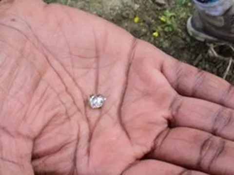 Nhặt được “viên đá lạ” trong công viên, người phụ nữ sốc khi biết đó là báu vật hàng nghìn người cùng tìm kiếm