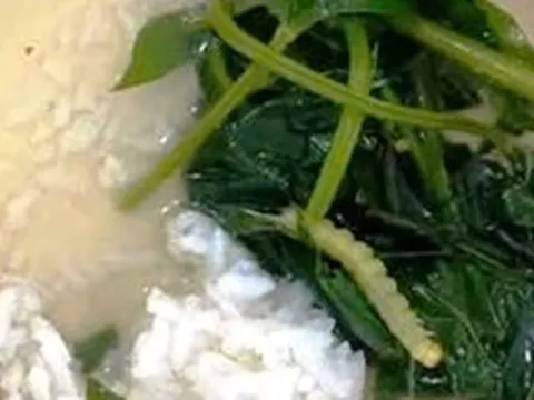 Vụ “canh rau có sâu” xôn xao ở Huế: Cơ quan chức năng lên tiếng