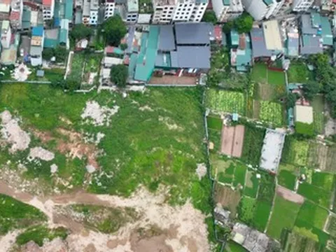 Bộ Nông nghiệp và Môi trường nói rõ hạn mức tách thửa sau sáp nhập