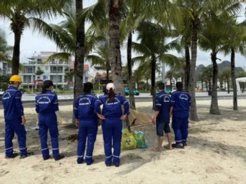 Phát hiện hai thi thể nam, nữ trôi dạt trên vịnh Hạ Long