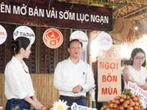 Phó chủ tịch tỉnh livestream bán vải thiều sớm, 'mát tay' chốt đơn hơn 31 tấn